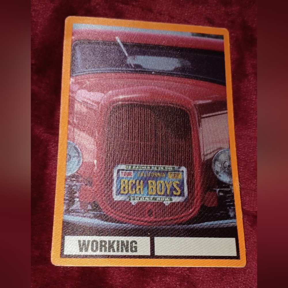 Beach Boys Rare Backstage Pass